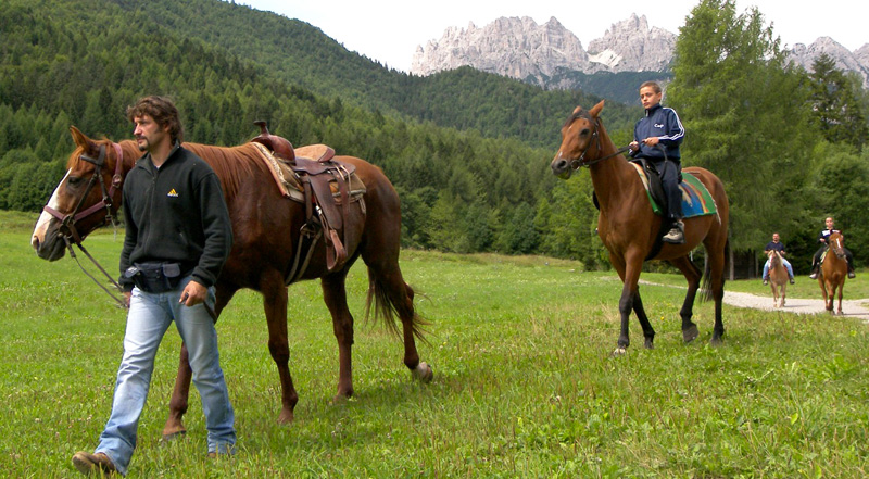 maneggio brams ranch forni di sopra